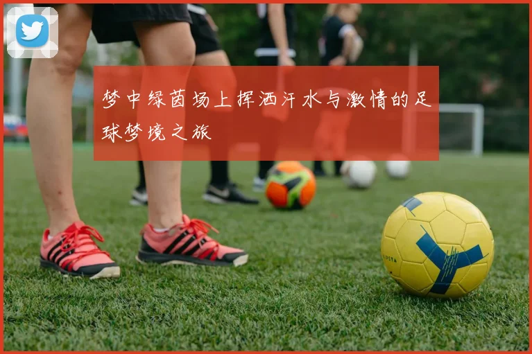 梦中绿茵场上挥洒汗水与激情的足球梦境之旅
