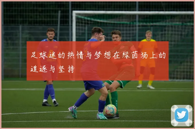 足球迷的热情与梦想在绿茵场上的追逐与坚持