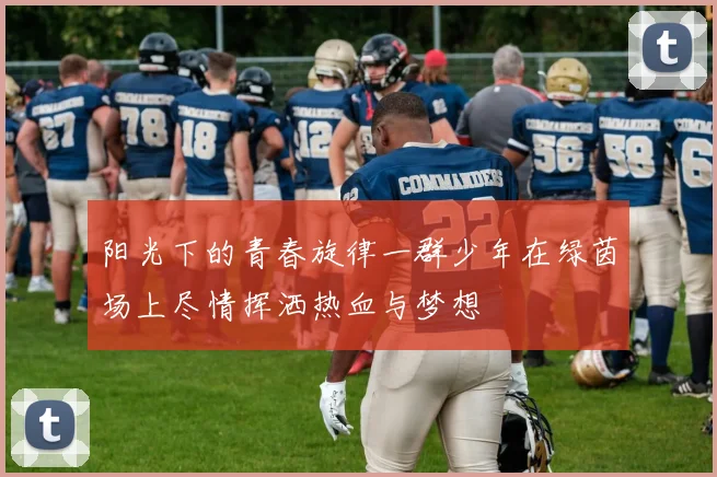阳光下的青春旋律一群少年在绿茵场上尽情挥洒热血与梦想
