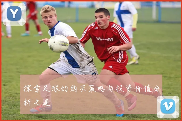探索足球的购买策略与投资价值分析之道